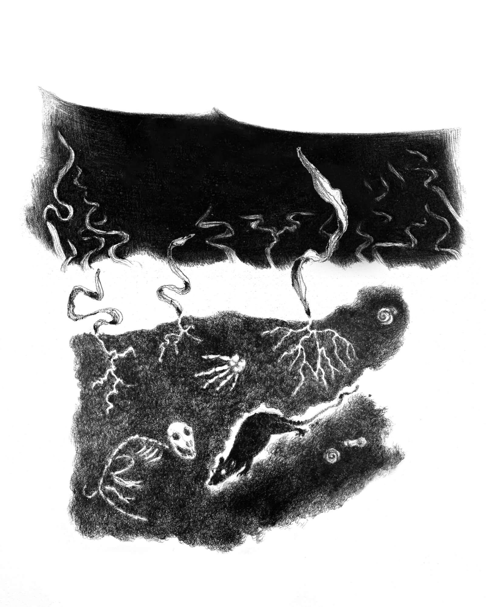 Scene 10:
Tunneling through the earth under the thick peat and water reeds: we feel wet dirt and webbed roots and bones and shells and stones, meandering claw-dug burrows of fossorial critters, the skeletal remains of a shrew…

When we move the x-ray widget over the dirt, the animal burrow expands as if it’s being dug out in real time. An animal is pawing a tunnel toward the skeleton. It’s a living descendent: a determined vole with bright eyes and a long tail.